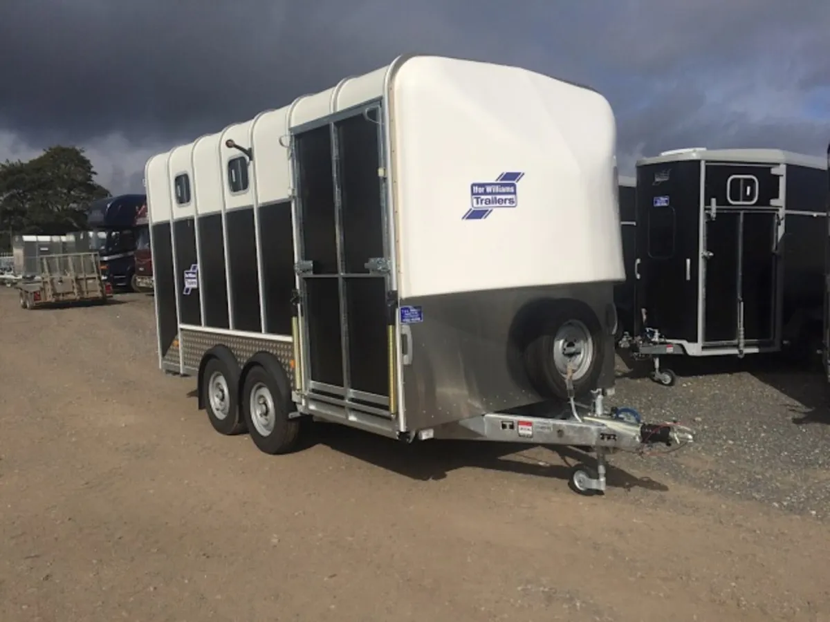 New HB610 Igor Williams 4 Stall Horsebox - Image 3