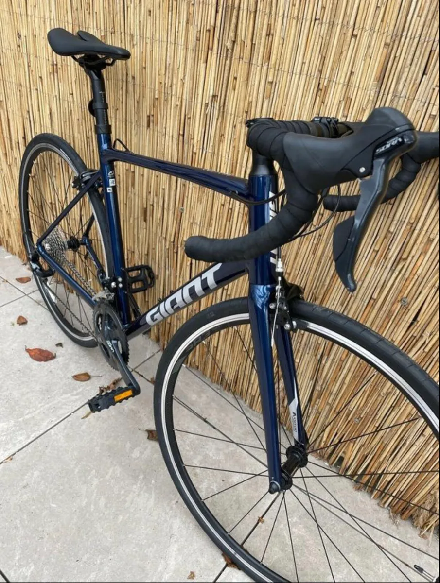 Giant contend 1 road hot sale bike