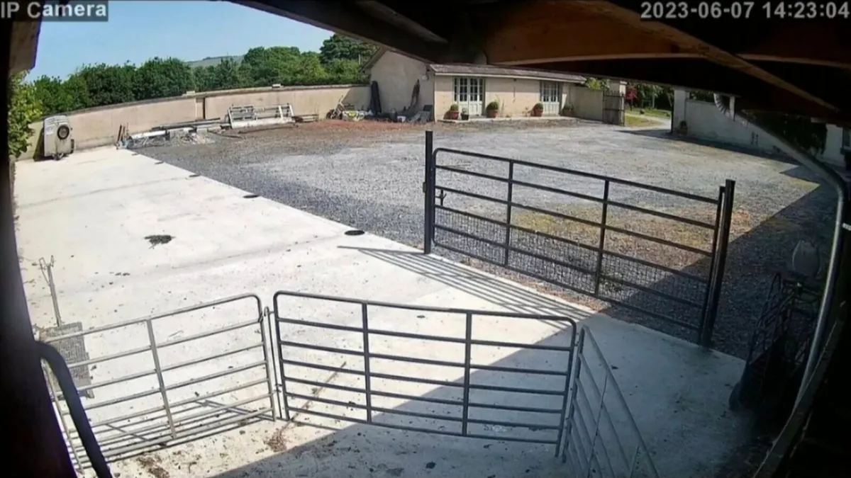 Calving & Security Cameras (installation service) - Image 3