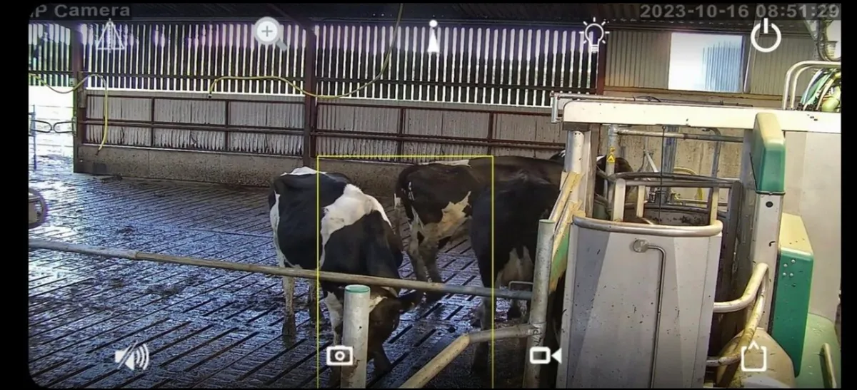 Calving & Security Cameras (installation service) - Image 4