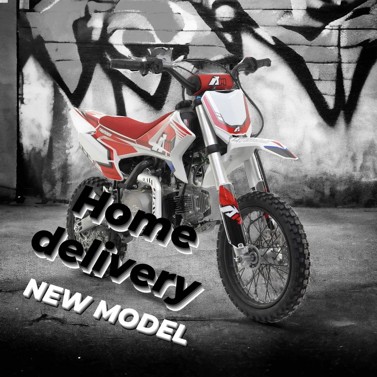 APOLLO Rfn 110 PIT BIKE Delivery warranty Easy Pay - Image 2