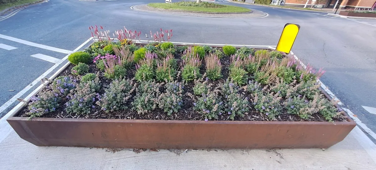 Spring Sale on Corten Steel Vegetable Planters - Image 4