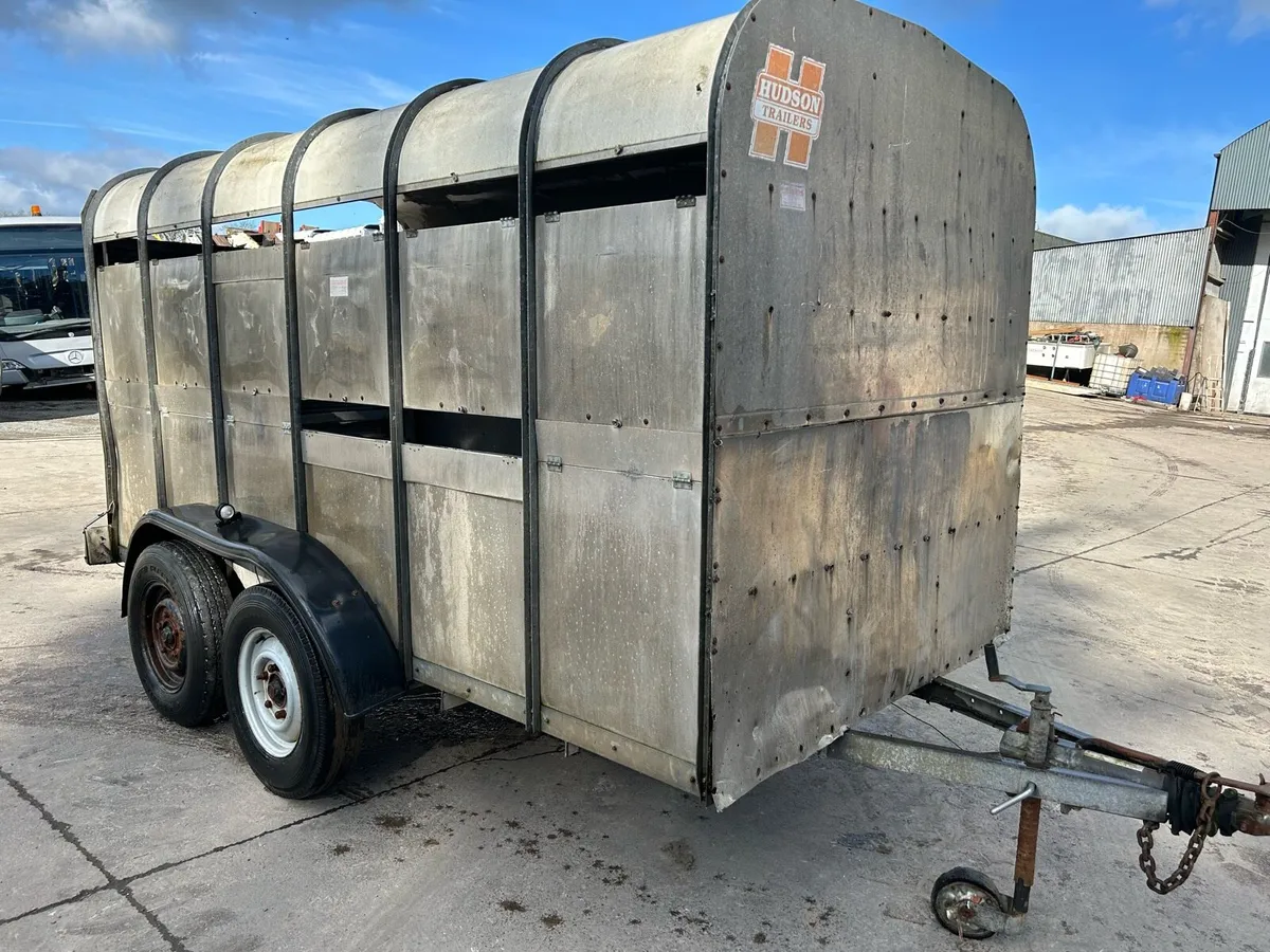 Ifor Williams cattle trailer