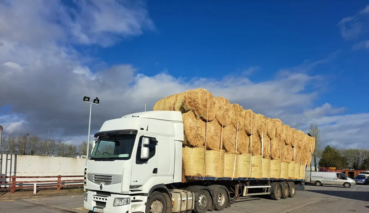 Round bales of golden barley straw  2021 harvest