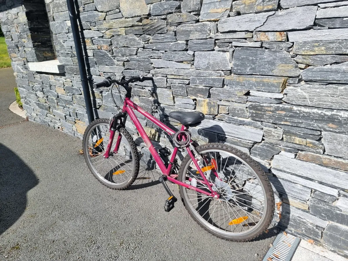 Girls mountain bikes - Image 1