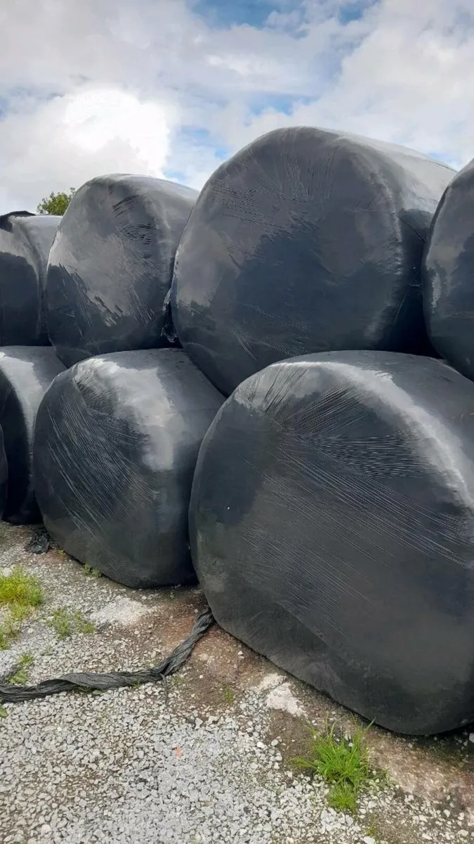 Silage bales for sale - Image 1