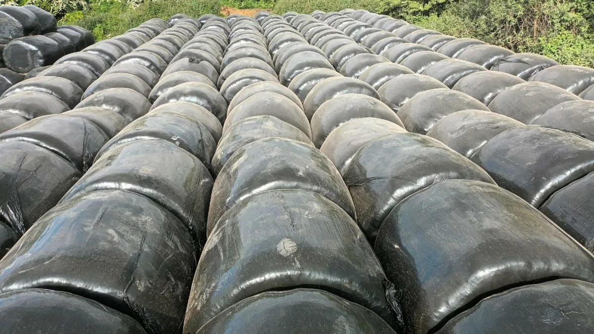 Silage bales for sale - Image 4
