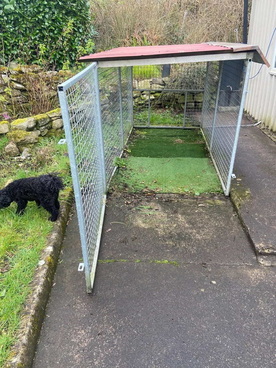 Dog Pen