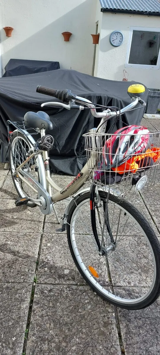 Bicycle and accessories - Image 1