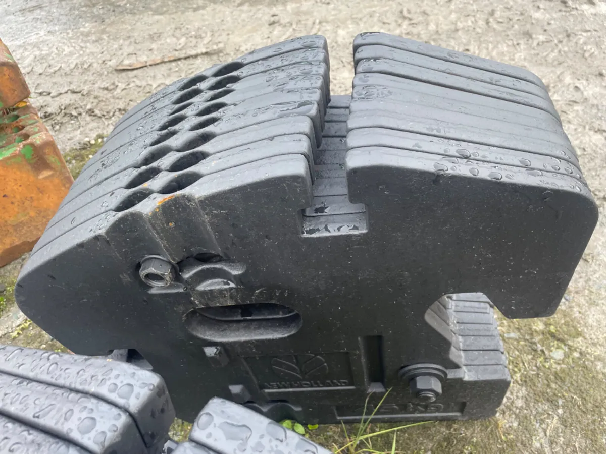 9 New Holland 45kg Fan Weights - Image 3