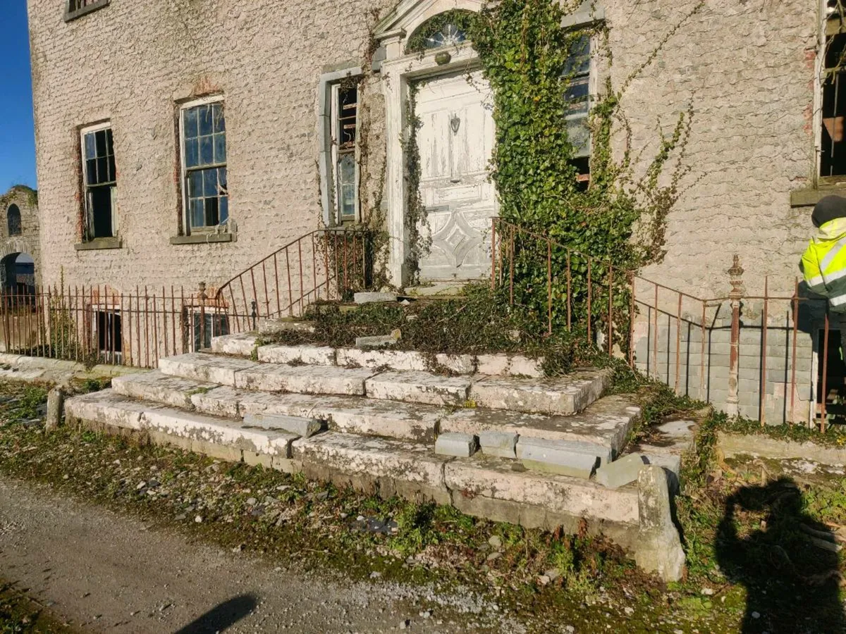 Old antique door steps available in granite limest - Image 1