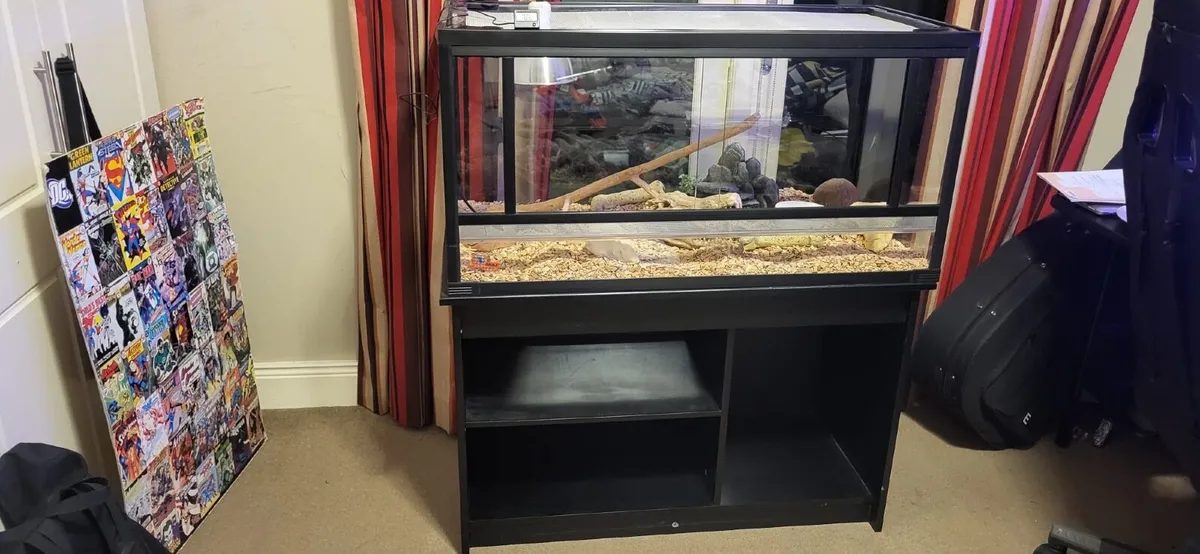 Corn Snake & Enclosure with accessories