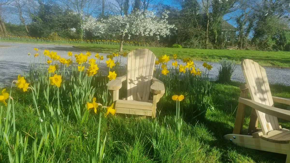 Redwood Adirondack chairs - Image 4