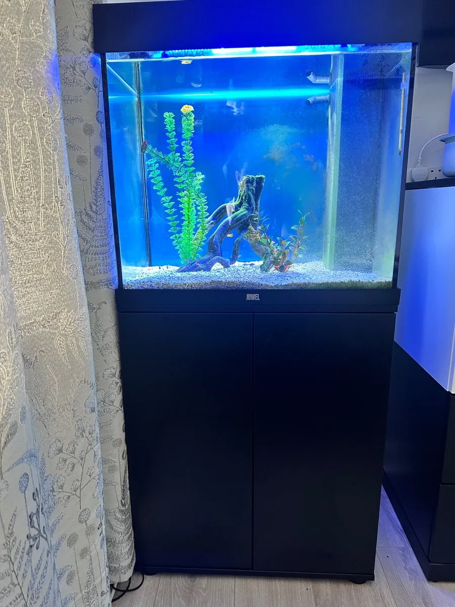 Fish tank/ Aquarium 120L with cabinet