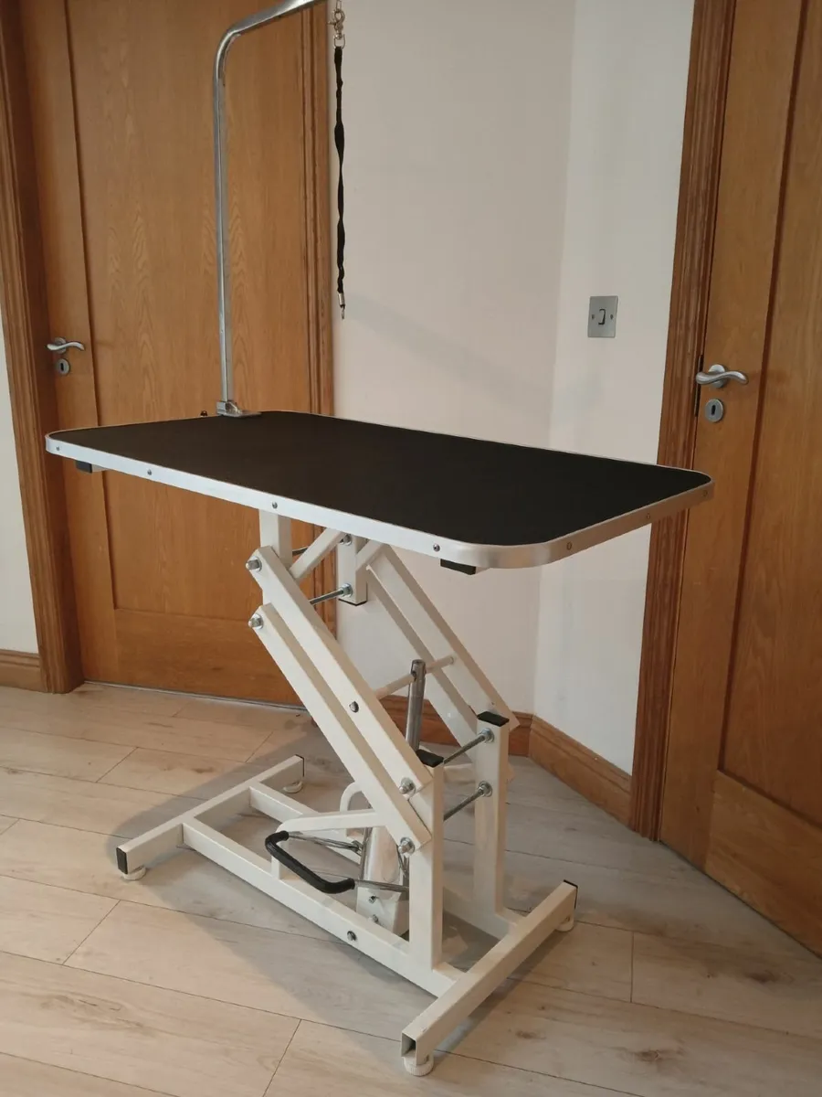 GROOMING TABLE HYDRAULICALLY FREE DELIVERY