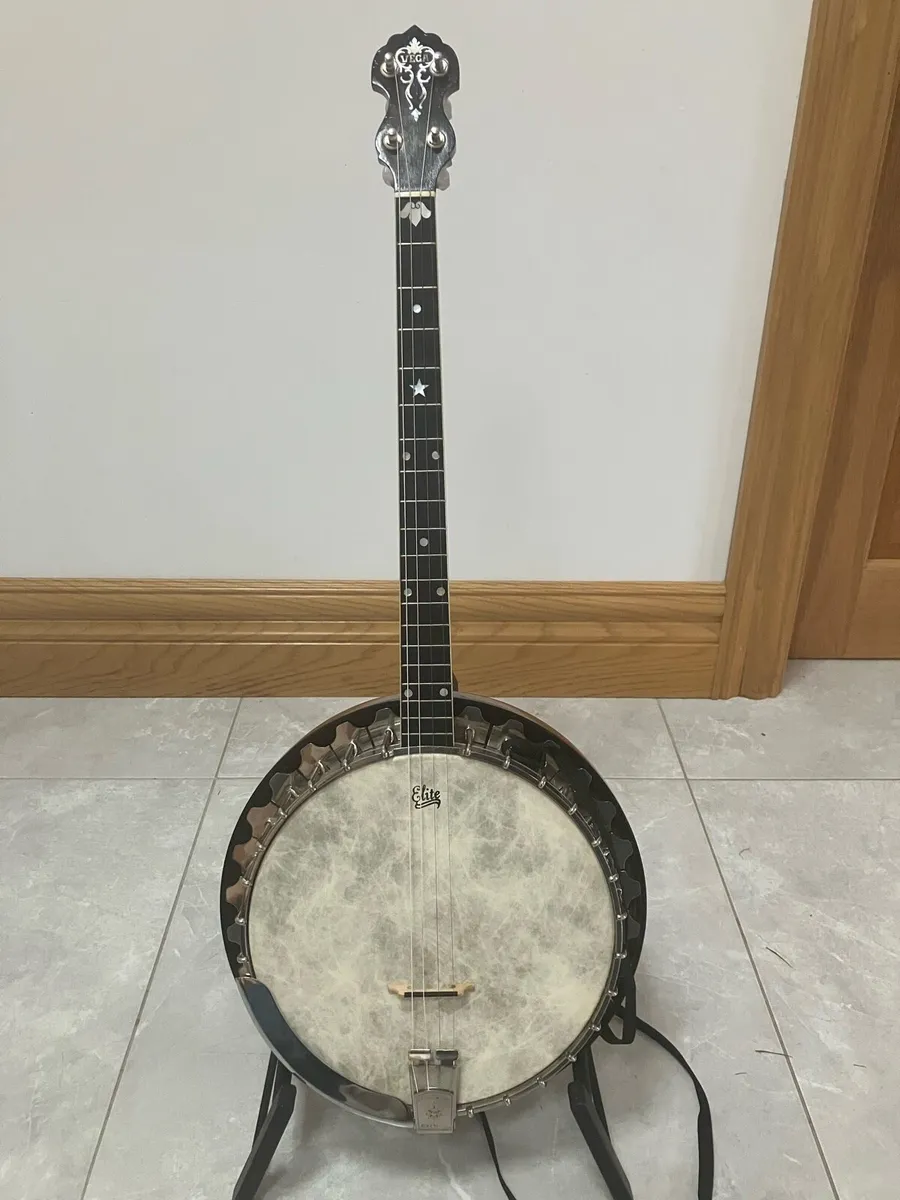 Vega Tenor Banjo