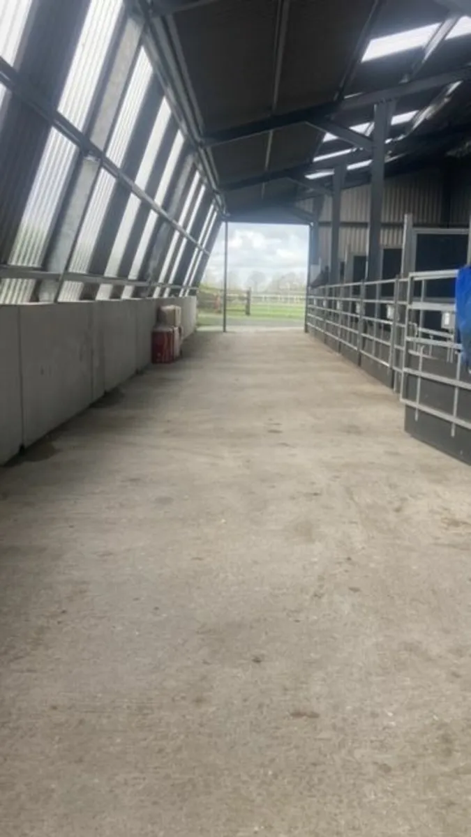 Stables for Rent - Curragh