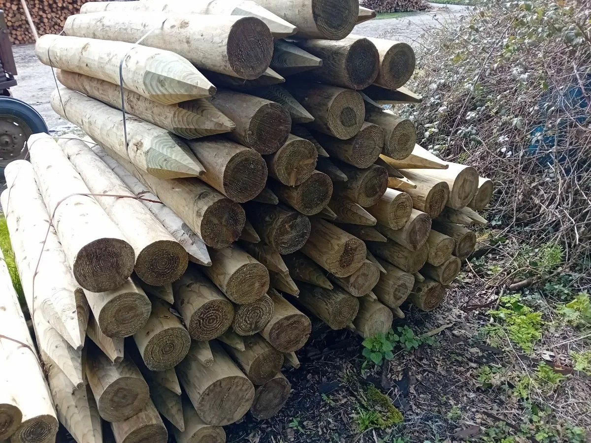fencing stakes - Image 1