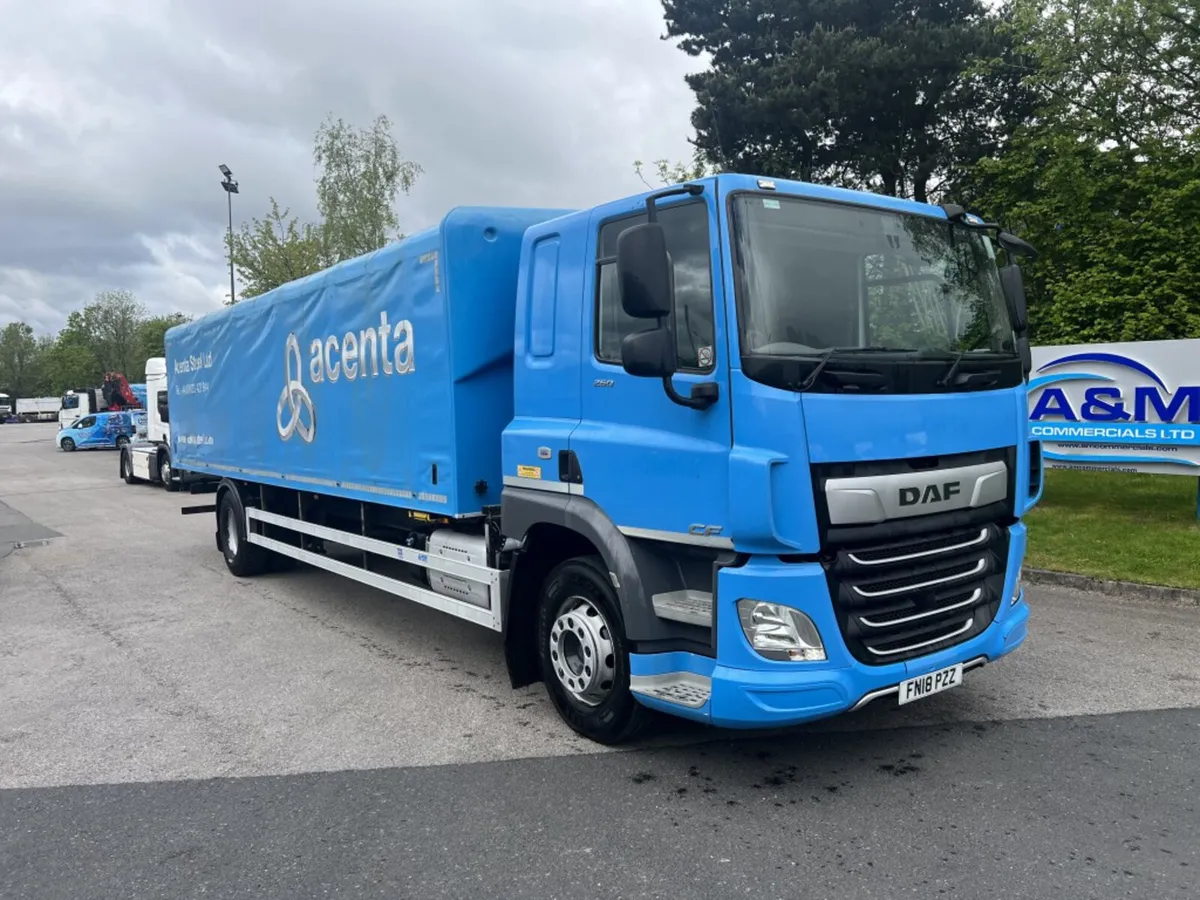 2018 DAF CF 260 4X2 STEEL CARRIER - Image 1