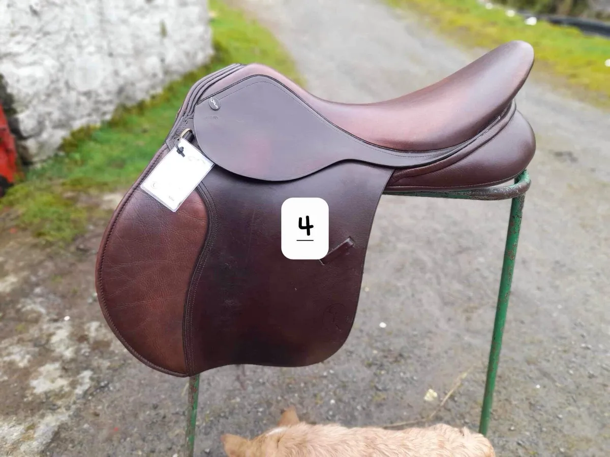Saddle Clearance, further saddles added - Image 1