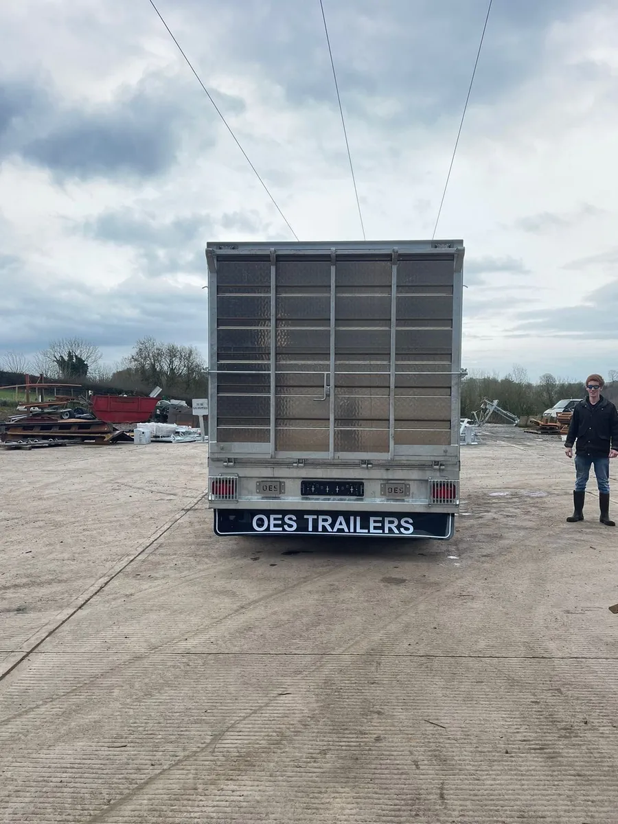 Cattle /sheep trailer - Image 3