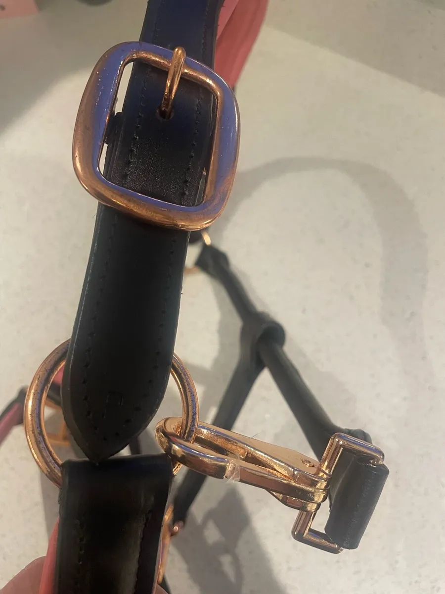 HORSE TACK for sale in Co. Cavan for €12,345 on DoneDeal