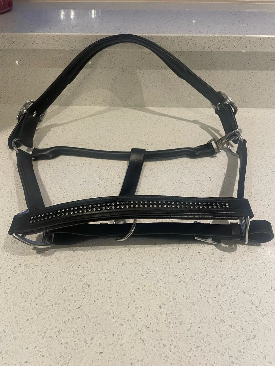 HORSE TACK for sale in Co. Cavan for €12,345 on DoneDeal