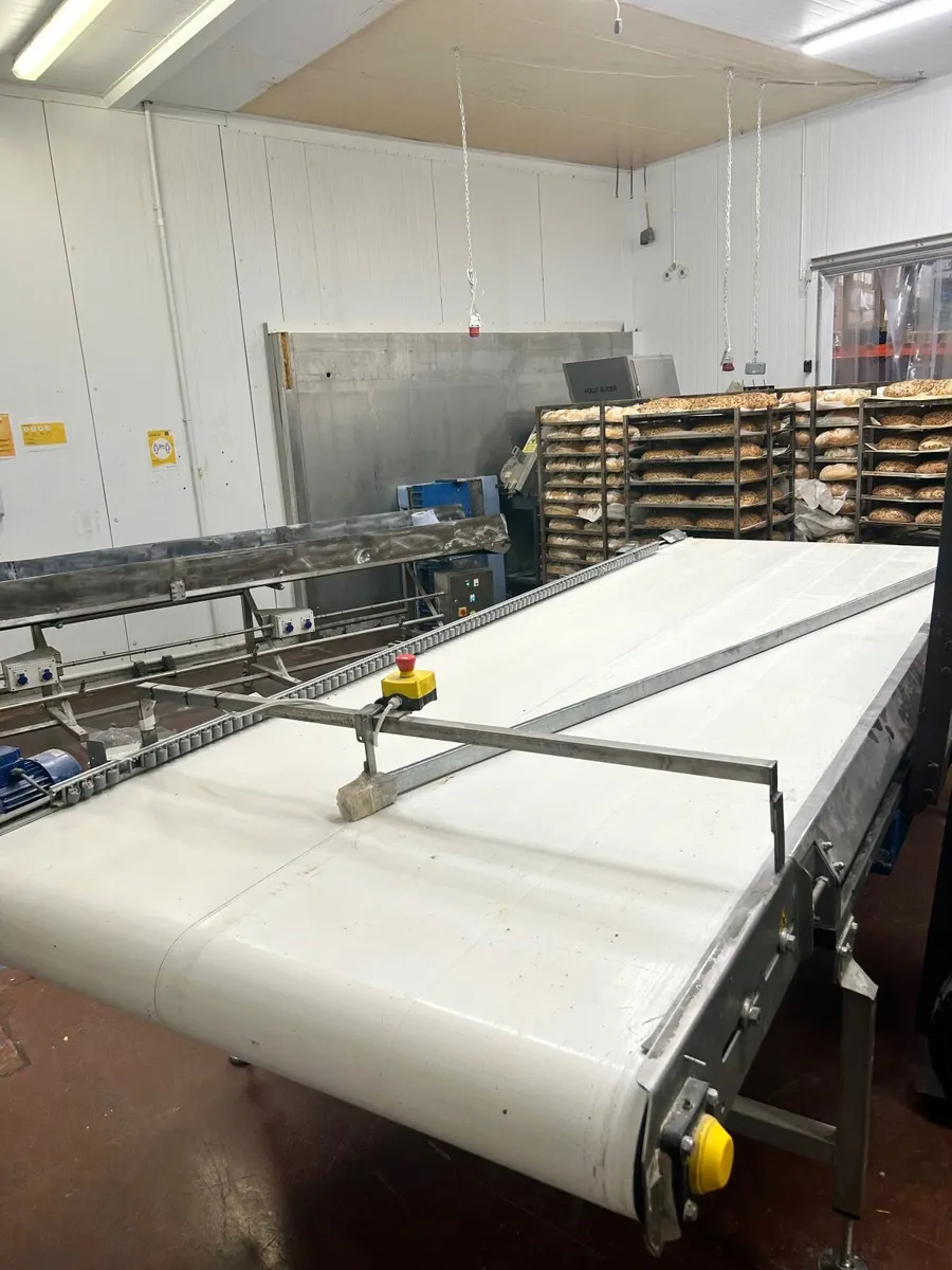 Conveyor belt for food factory