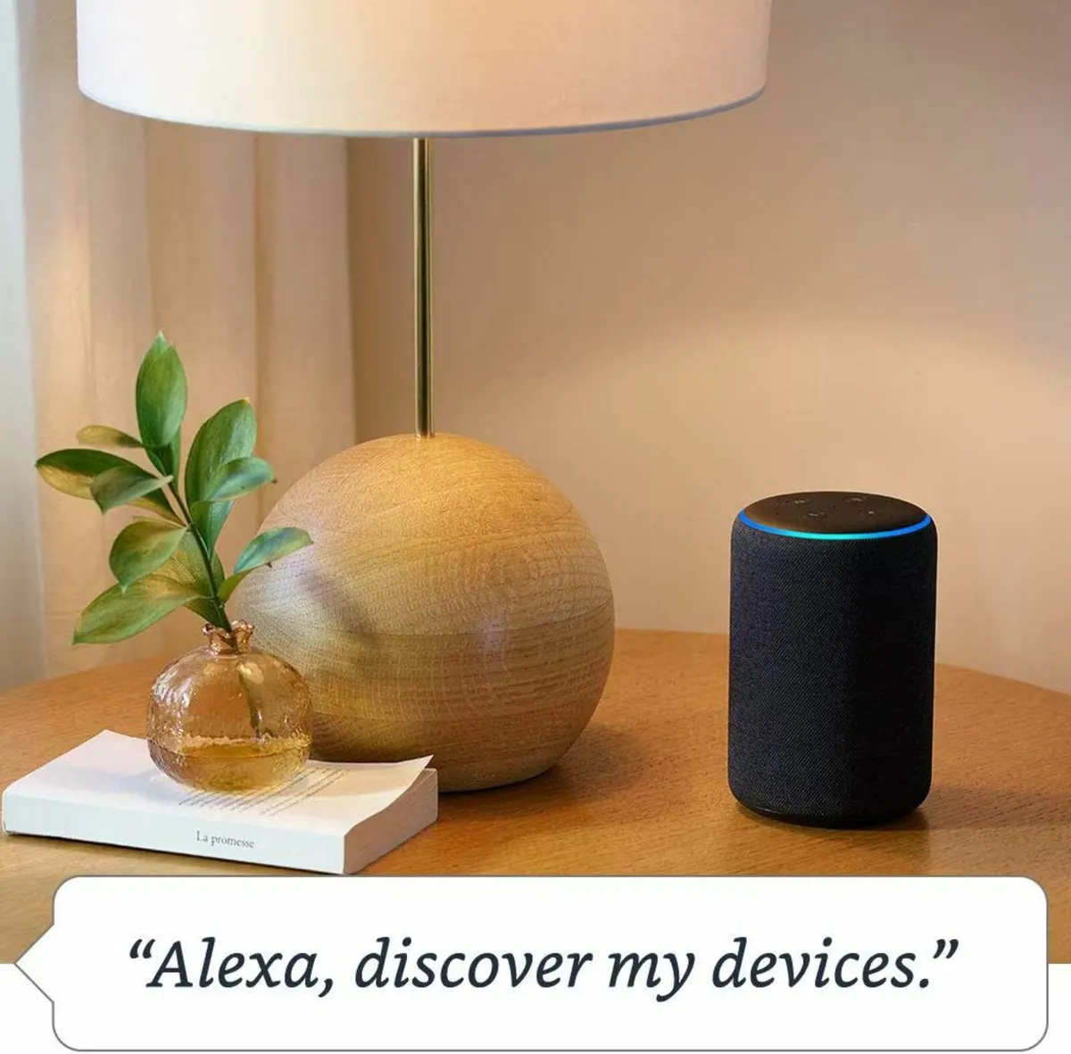 Alexa smart speaker + Philips Hue lights