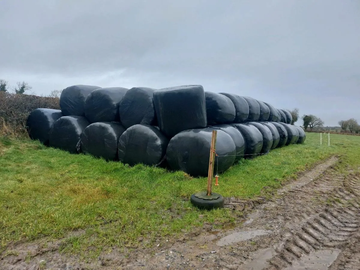 Silage Bales. €25