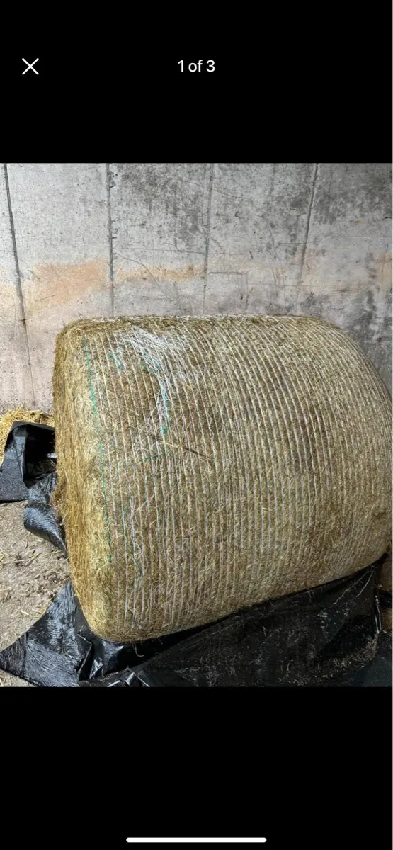Silage Bales For Sale