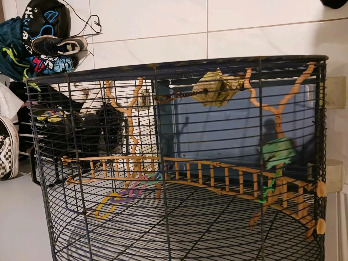 Bird cage and a run for sale in Co. Wexford for €45 on DoneDeal