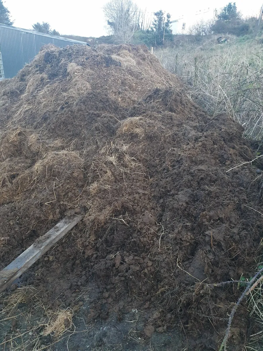 Pure organic composted horse manure for gardening - Image 1