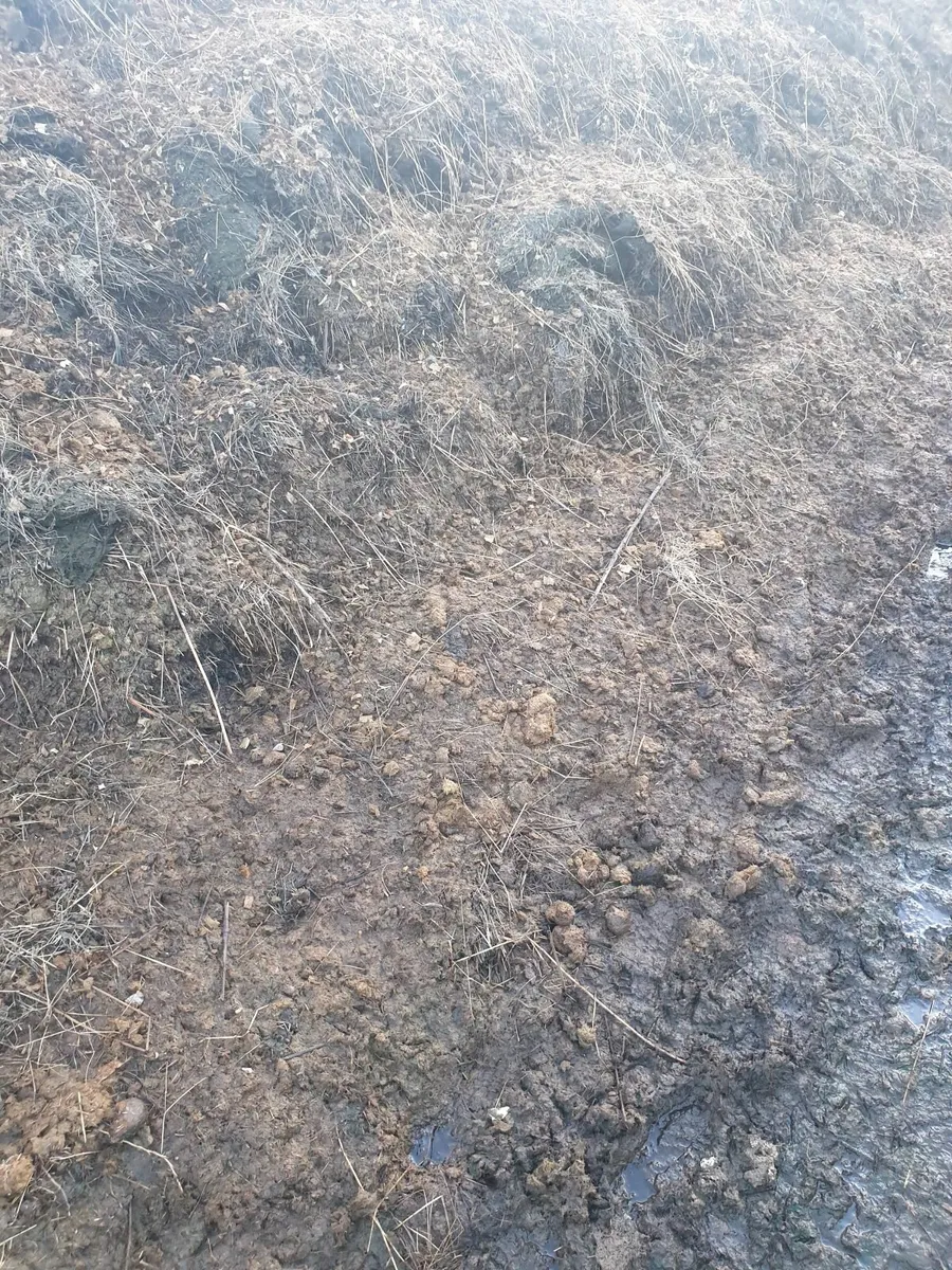 Pure organic composted horse manure for gardening - Image 2