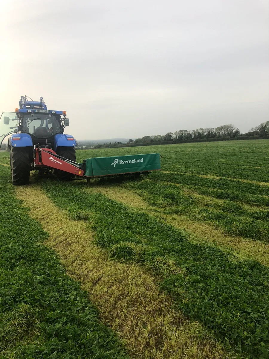 HAYLAGE +. SILAGE. TOP. QUALITY. - Image 3