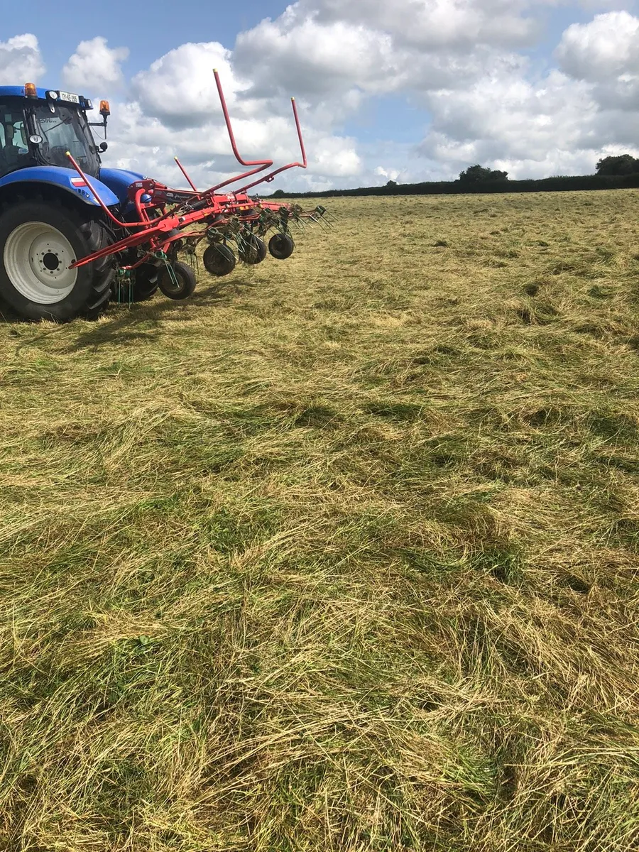 TOP QUALITY HORSE HAY + STRAW - Image 1