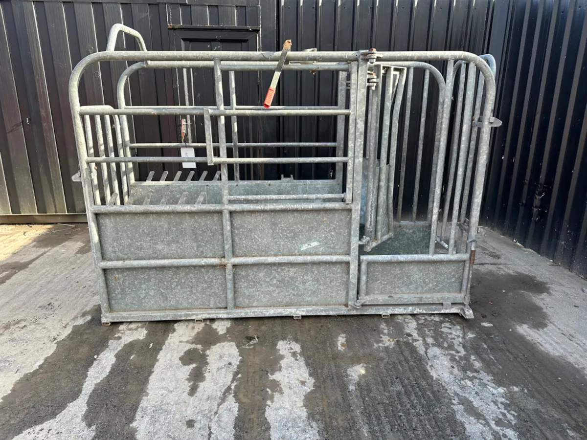 Galvanised Cattle Crush - Image 1