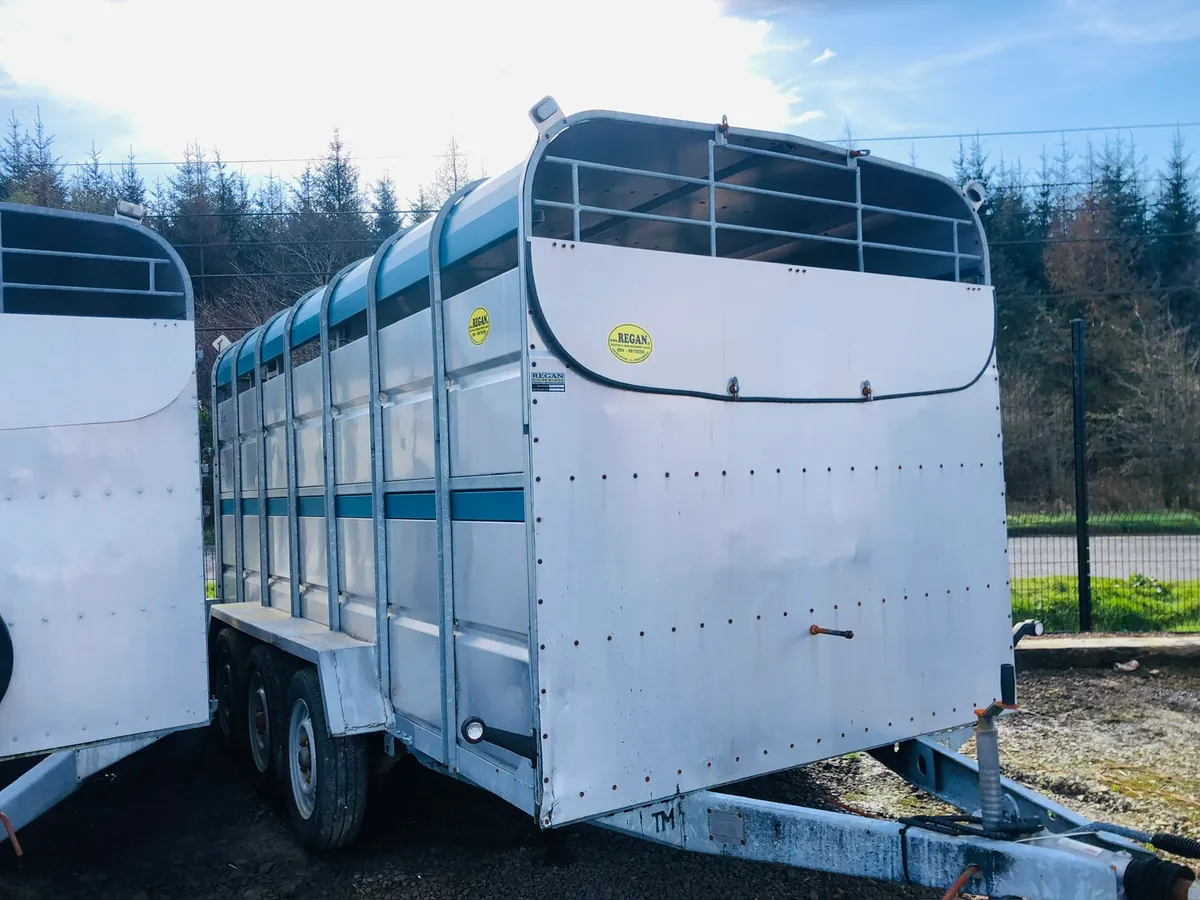 Tuffmac cattle trailer - Finance Options - Image 2