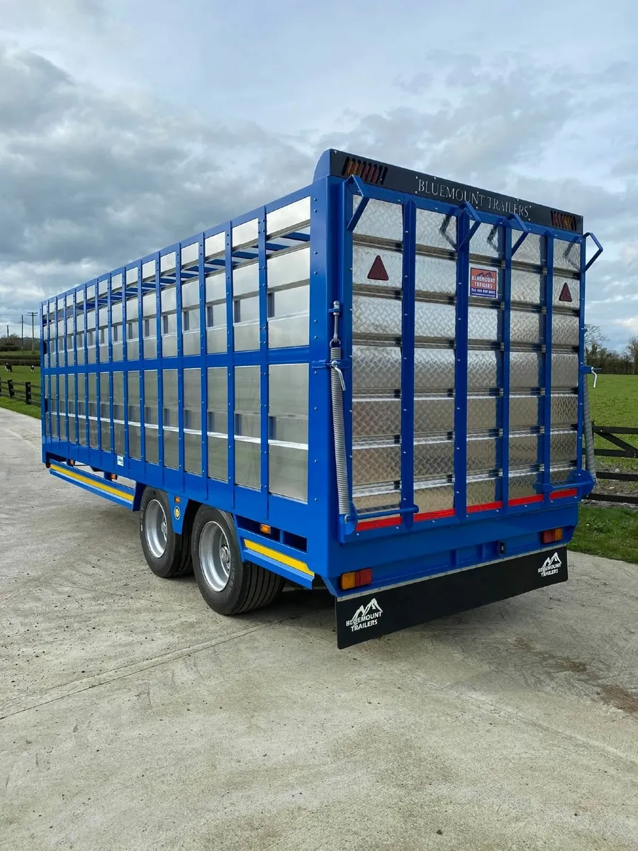 Bluemount Trailer - Image 3