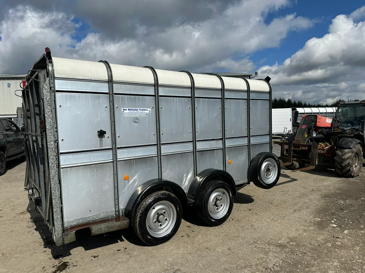 Ifor Williams Cattle Trailer 12x6 - Finance Opts - Image 2