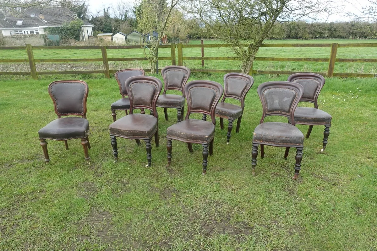 8 Mahogany chairs Victorian