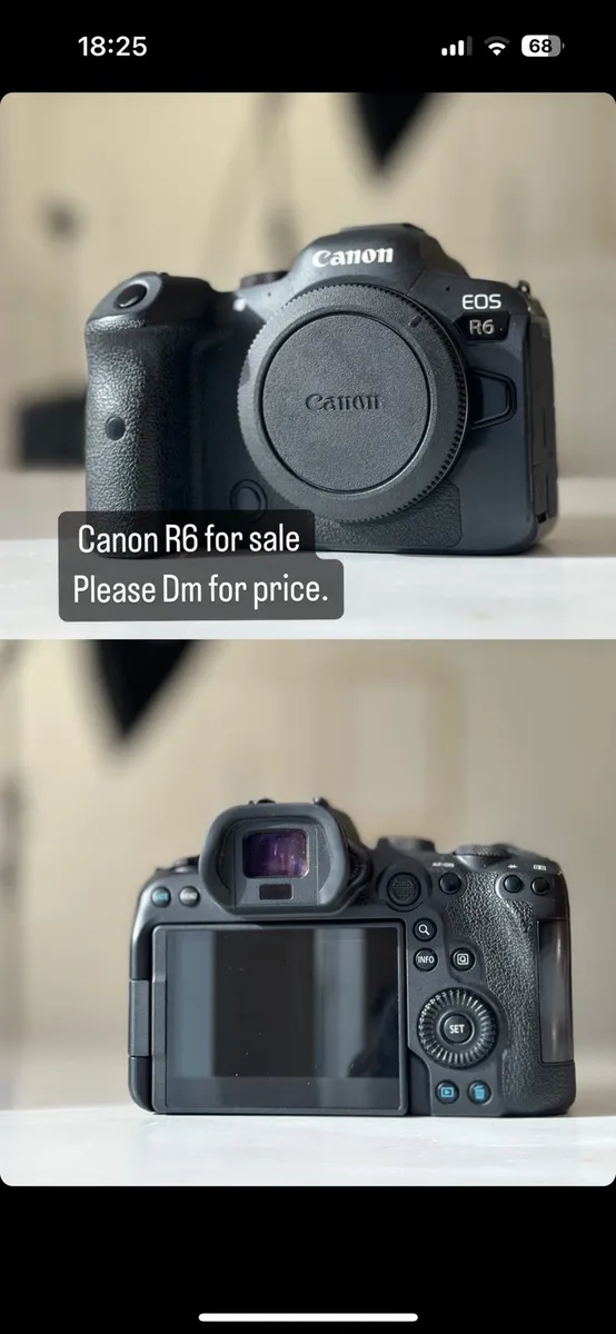 Canon R6 mirrorless camera