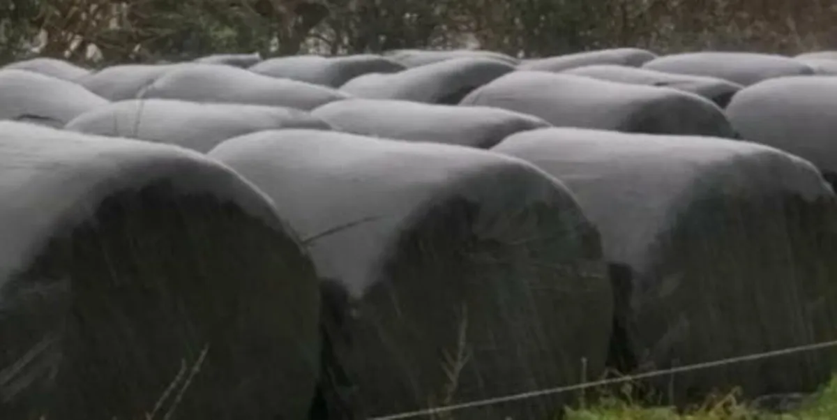 Round Bales of Silage