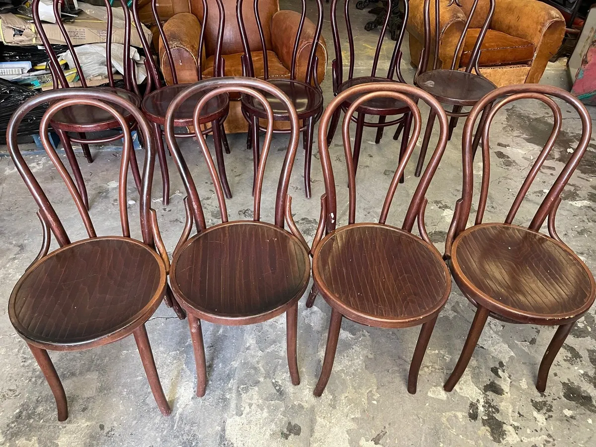 Set of 6 bentwood chairs 🪑