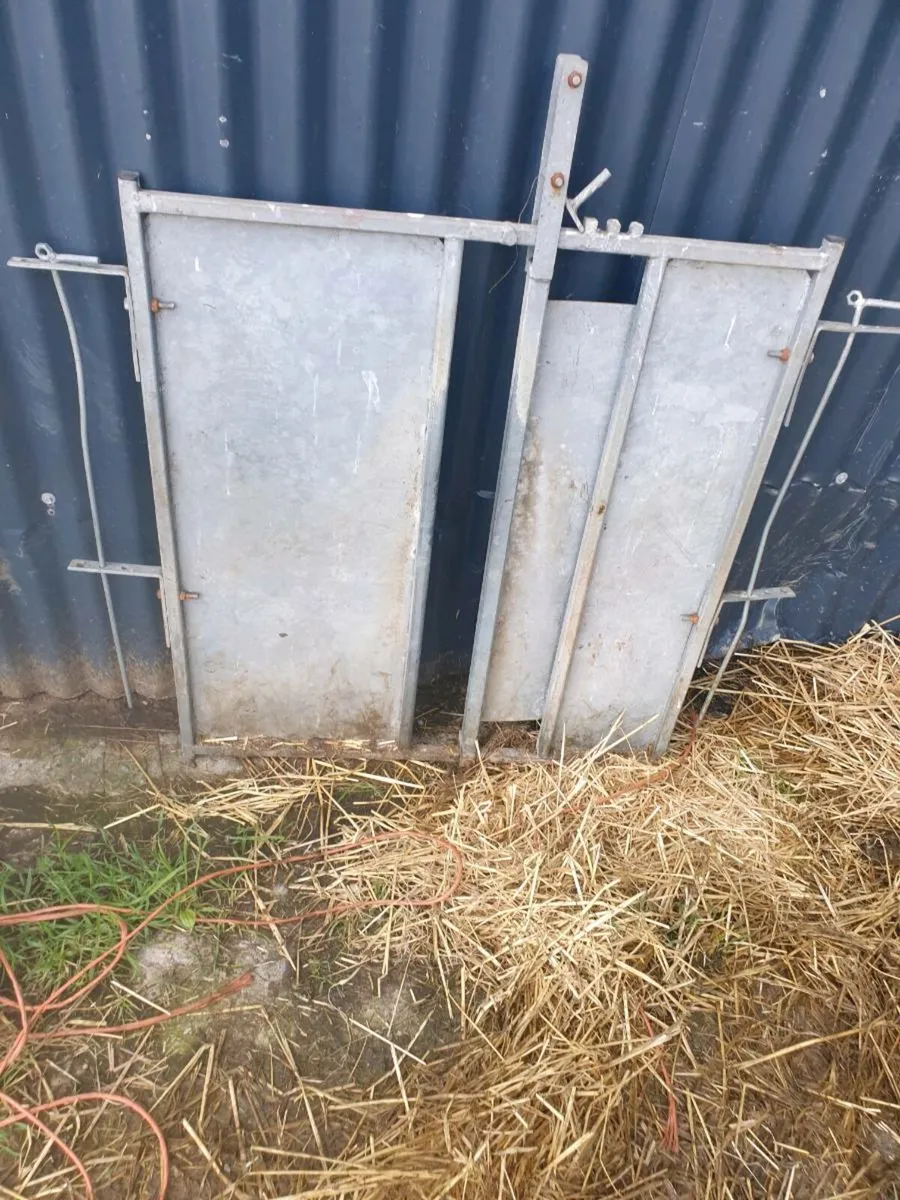 Fostering gates,,creep feeders sheep trough