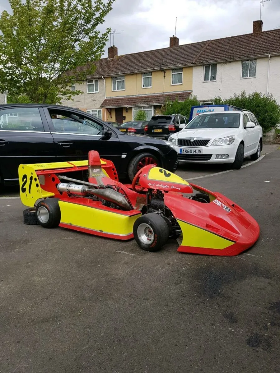 250 rotax twin anderson - Image 1