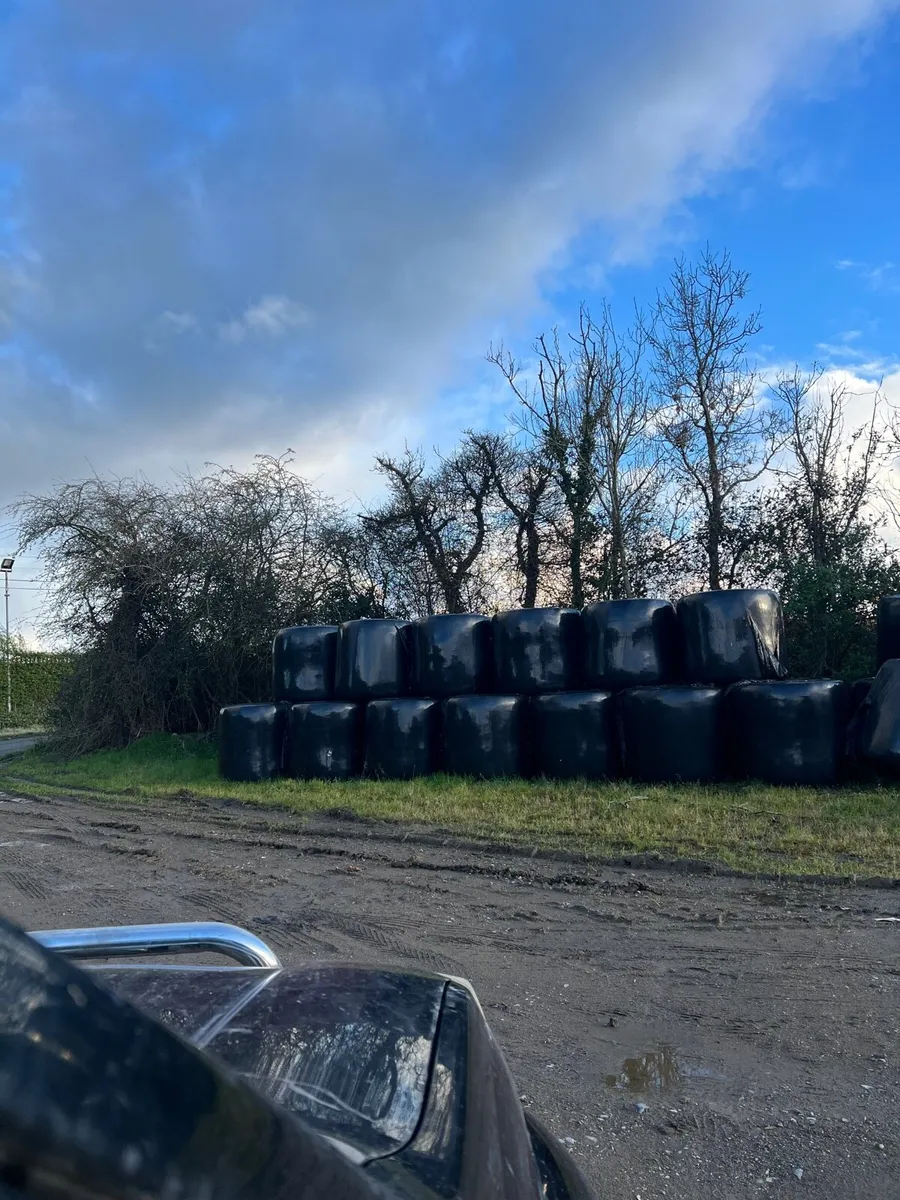 Bales of Silage
