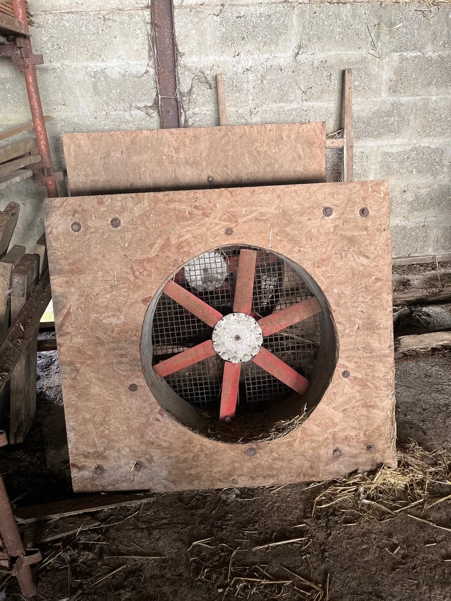 Drying Fans