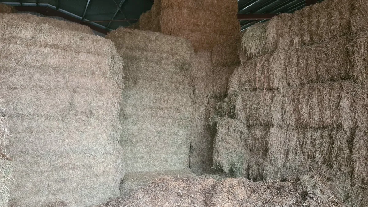 Silage, Haylage, Hay and Straw for sale
