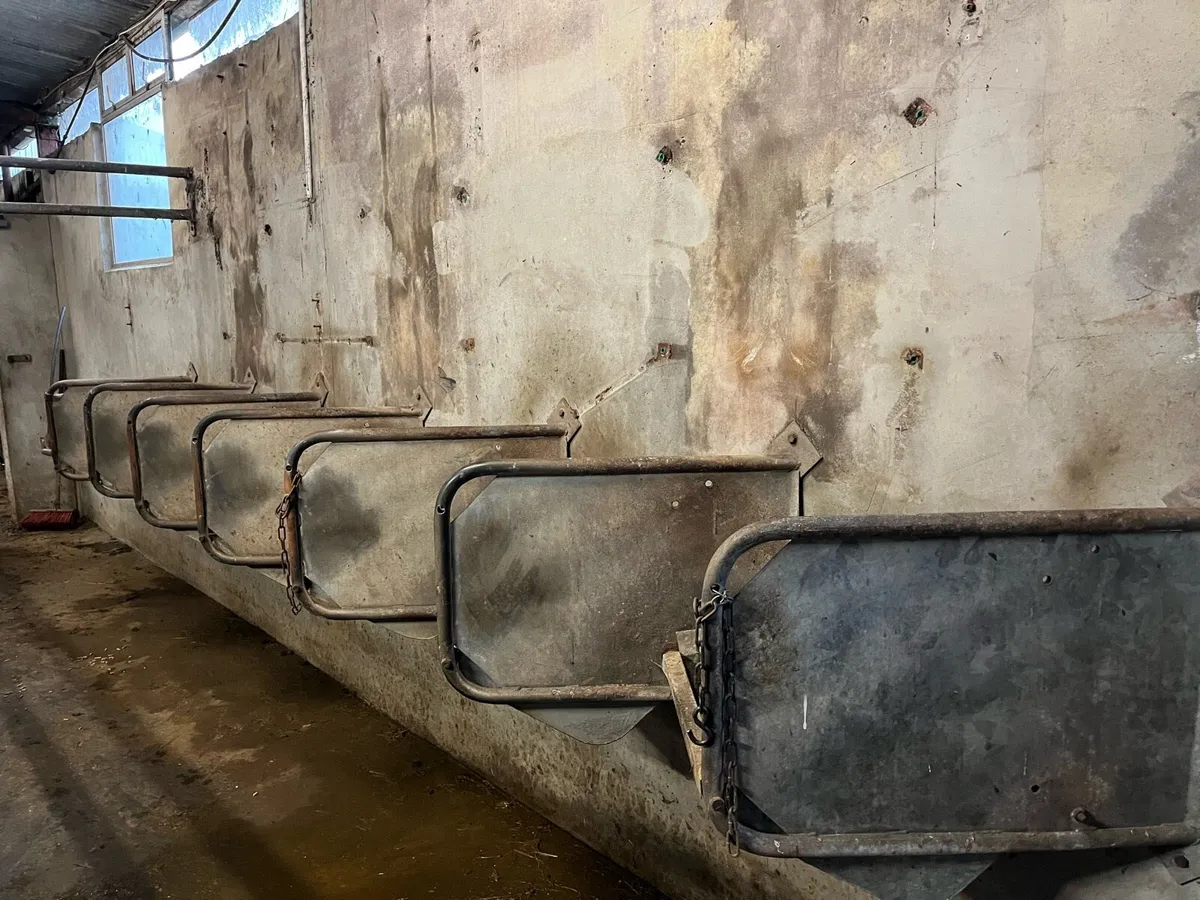 Milking parlour feed troughs